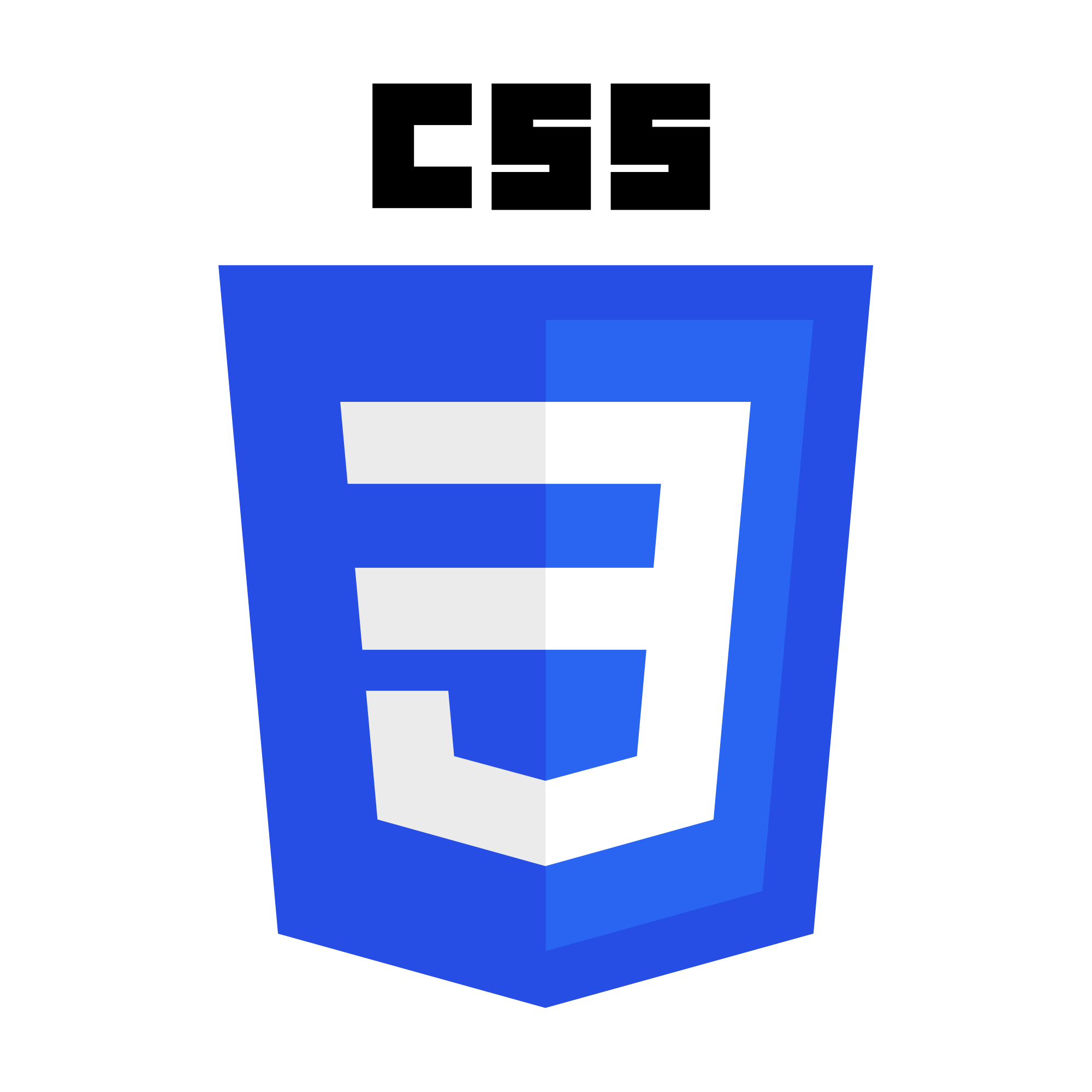 CSS Logo